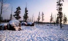 经典美文:被雪覆盖的世界,美轮美奂的唯美短句令人陶醉