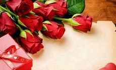 八月，愿人心和阳光能够温暖你；2022，大家将用小清新唯美的个性签名来迎接八月的到来