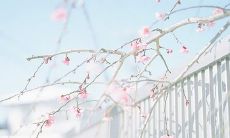 探索身处异国他乡时，令人感受到亲情情感的句子