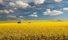 2022年八月你好:探讨唯美动听的最新说说,为朋友圈增添更多互动和艺术气息!