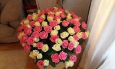 请温柔对待我的八月，七月已经离我们远去，现在请你留下美好的回忆，倾诉你的内心，分享你的故事，让我们一起迎接崭新的八月