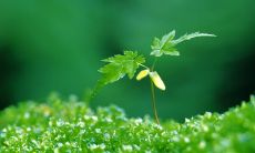 通过励志的句子表达内心情感的第六期,寓意激励个人战胜困难,追求梦想与成功