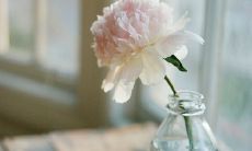 为每天让一个人心情愉悦的美文语句而祈愿