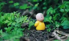 在炎炎烈日下,放空思绪,体验禅心静,闲暇夏日的静谧感受:神奇句子