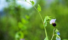 如何使用快手APP创作有趣的短句，提高你的创作能力和社交影响力？