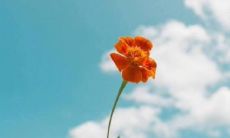 生活中充满正能量的文艺小清新,短而唯美的句子收录