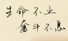 经过不懈的努力，我们可以实现自己梦想的一句座右铭