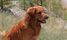 让他们终身懊悔的无法回避的语句