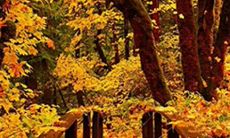 无论撩妹还是挑对象,这些不仅可调戏还不易惹怒的友情句子你必须要知道!