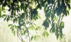 在下雨天向客户发送问候短信，传达关心与温暖之情