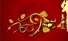 10句有趣的春节祝福语顺口溜，让你轻松拜年闹新春！