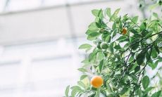 有哪些值得我们借鉴的开心句子，能让我们的心情得到积极的提升呢？