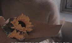 《人间烟火神仙句子》：探讨人生哲理与情感表达的绝妙句子，描绘繁华世界中的人与情，抒发生活百态的万种情绪和感受