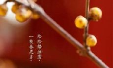 超全的2021立春祝福语,让你尽享四季欢乐,愿万物复苏,秋收冬藏,人人皆欢,幸福满满