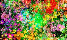 如何编写一条让朋友感到温暖、有意义的早安问候短信?