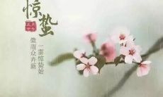 精选的惊蛰节日祝福语,简短而有深意