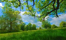 A Compilation of Beautiful and Enchanting English Phrases to Uplift Your Heart and Captivate Your Senses.