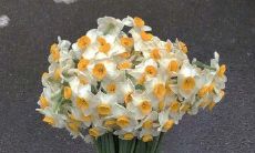 永恒流传的最经典爱情语录:深情款款、动人心弦的爱情旋律!