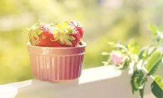 拥有深度、洞见和智慧的最短、最简洁的人生感悟句子合集