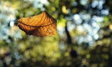 如何用一些言辞严厉、引人深思的话语来表达你对朋友失望的感受，并提供一些中肯的建议和切实可行的方案？