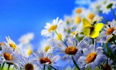 探究实现幸福生活的感悟与建议:一组深入思考的有关个人快乐与心灵平衡的句子