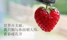 一句致自己往后余生的长长句子,勉励自己信心满满、积极向上地追求梦想,尽情生活,珍惜每一天!