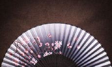 祝福美好友情永存,愿你度过一个快乐难忘的生日!