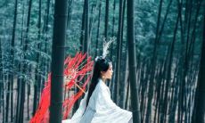 思念与友情:一组令人动容的深刻句子!