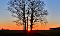 我对生活的感悟和心情的分享 —— 第十篇