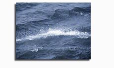 那些让人感到最为心酸、委屈和伤感的话语及句子