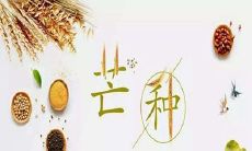 芒种节气古诗词：追溯历史的时光之路，感受凄美的诗意盛宴！