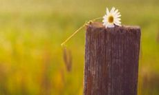 享受母亲陪伴的快乐时光:一起度过的欢乐时刻