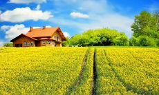 一些温暖的乡愁情怀和家庭亲情的美好言辞