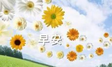 研究发现:高智商人群运用的撩妹/撩汉情话套路,具有创新性和智慧,从而引领着现代恋爱模式的新风尚!特别是早安类的情话,更在情感沟通中扮演着重要的角色!