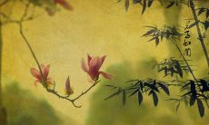 与品行高尚之人相关的格言、谚语及箴言