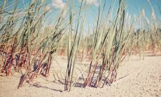 在周末给客户发送贴心问候短信,营造更紧密关系的有效方法