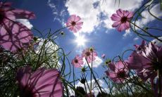 无法准时到达的人们，通过中秋提前问候的短信来表达思念之情