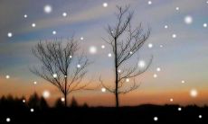 如何用短信祝福朋友在雪花纷飞的美丽冬日里度过愉快的时光?