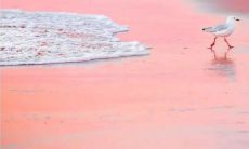 周末问候短信：向客户传递真挚关怀之意，展现品牌人性化形象