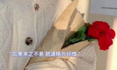 以温馨问候叩响客户门:晨曦短信为您送上的美好感受