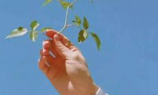 如何利用短信问候客户以增加钢铁销售?