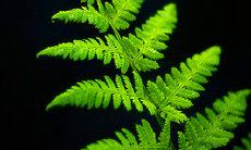 精华版客户问候短信集锦：为您提供精美、贴心、传达爱意的短信范文！