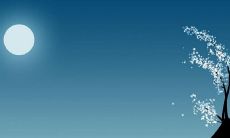 50个唯美的句子庆祝中秋节:赏月、品茶、聚会、送祝福,描绘温馨、浪漫、感人的中秋佳节!