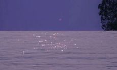 感情破裂时的必经之路：释放痛苦心境，迈出离开那个人的坚决步伐