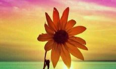 班级运动会口号的全面汇编:激励与动力的共同创造!