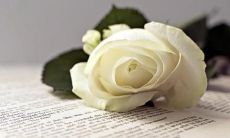 - 通过共同创造的班级梦想口号,激发团队合作精神,提升班级凝聚力和荣誉感