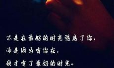 综合整理:数码宝贝卡通中的超级搞笑队名和口号集锦,让你忍俊不禁!