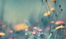 收录班级口号的丰富全集:八个字班级口号大全