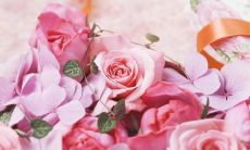 八个字的全新唱歌口号大全