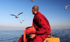 在这个世界上，没有一种痛苦是专门为你预留的，它们只是随着生活的进程悄然而至